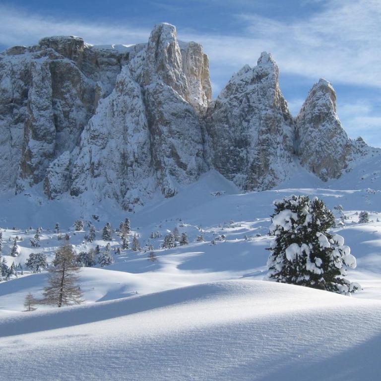 Apartments Dolomie - Appartamento con 3 Camere da Letto - 58