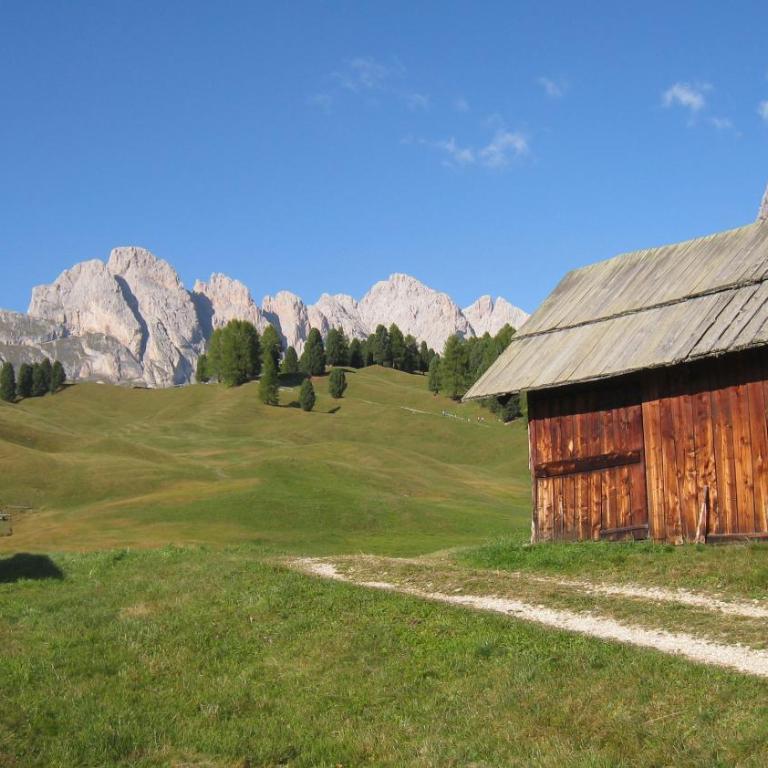 Apartments Dolomie - Appartamento con 3 Camere da Letto - 53