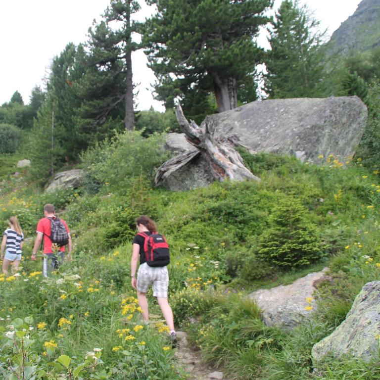 Unplugged Almhütte Waldbauer - Chalet mit 2 Schlafzimmern - 29
