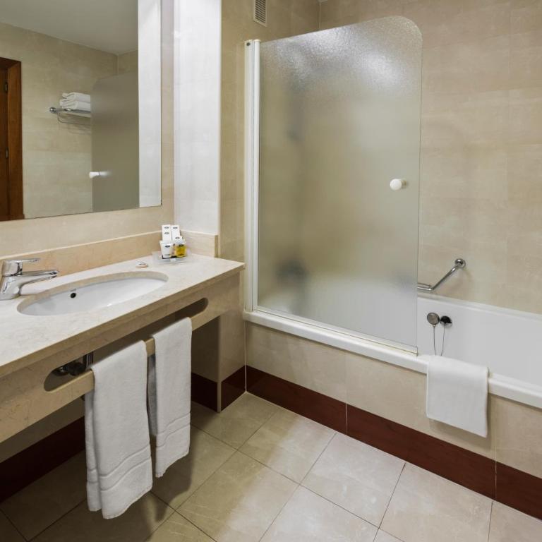 Elba Madrid Alcalá - Standard Double Room - 5