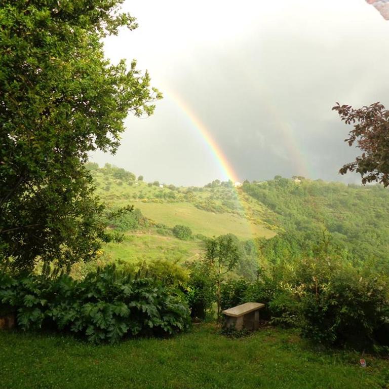 Fattoria Didattica Gli Allori - Appartamento - Piano Terra - 8