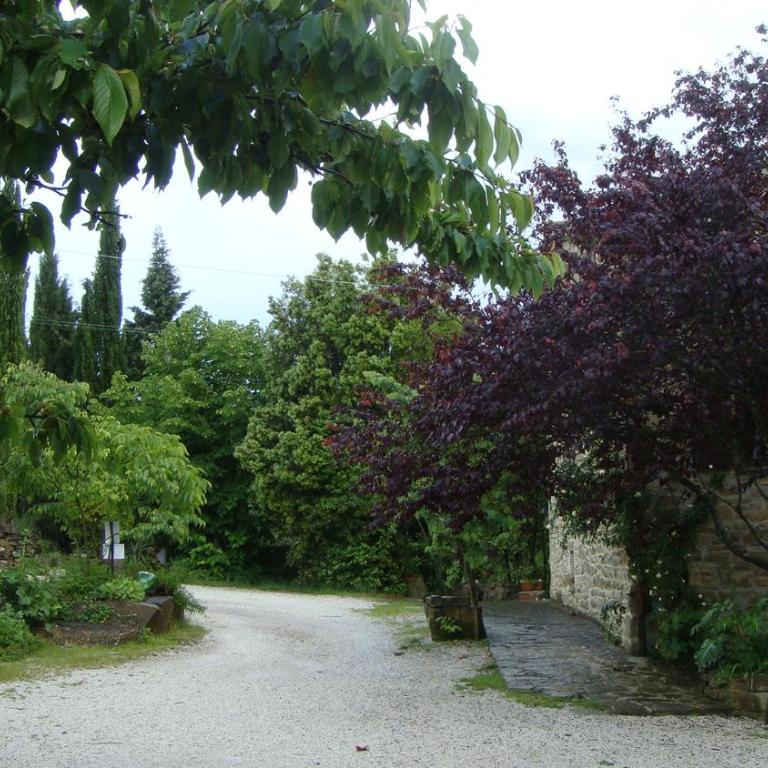 Fattoria Didattica Gli Allori - Appartamento - Piano Terra - 6