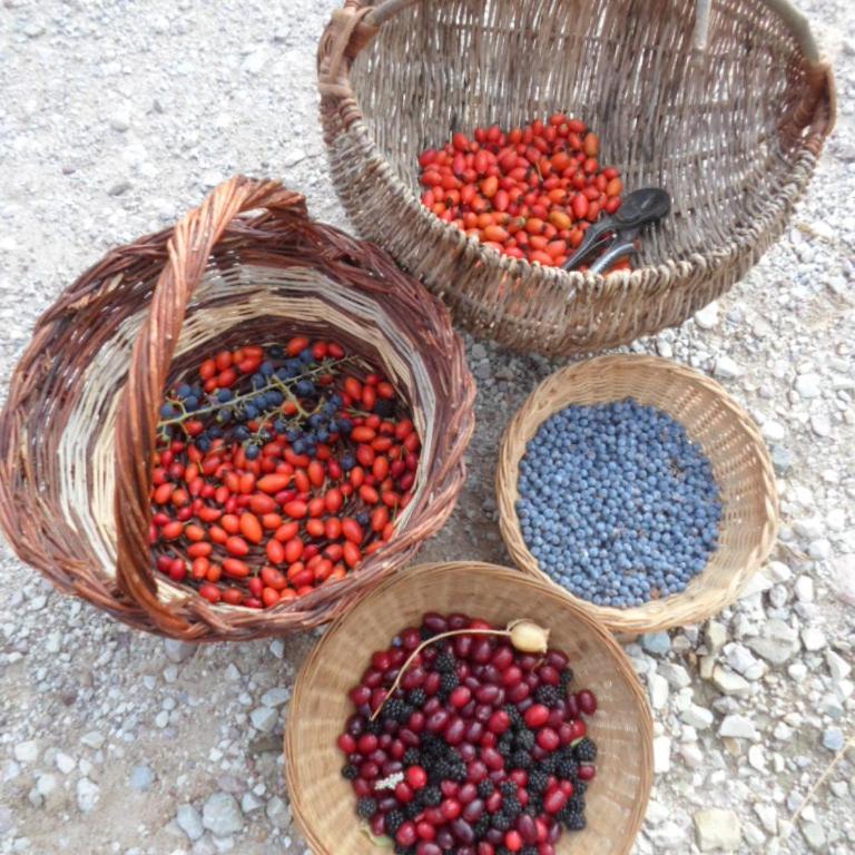 Fattoria Didattica Gli Allori - Appartamento - Piano Terra - 30