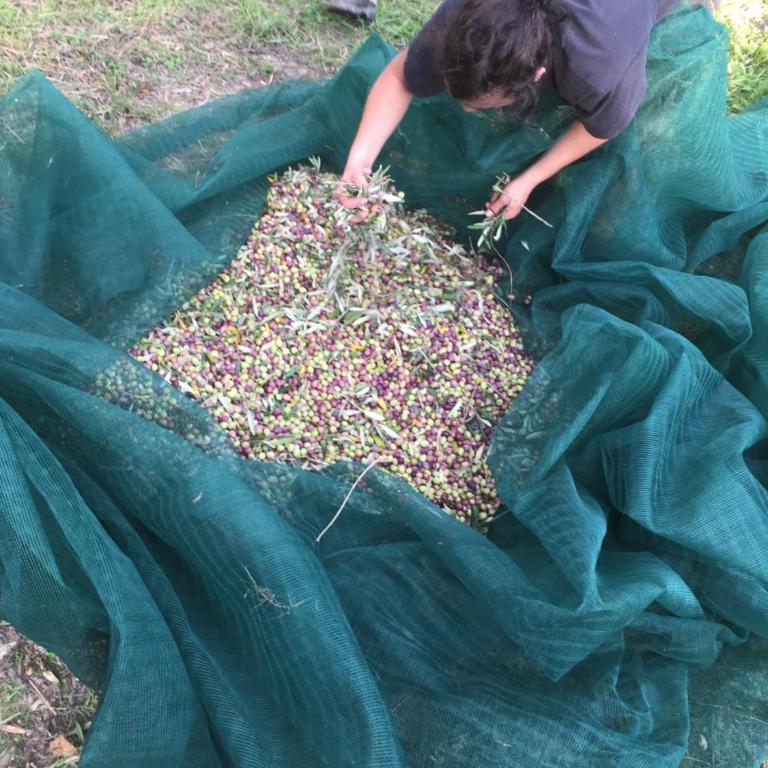 Fattoria Didattica Gli Allori - Appartamento - Piano Terra - 27