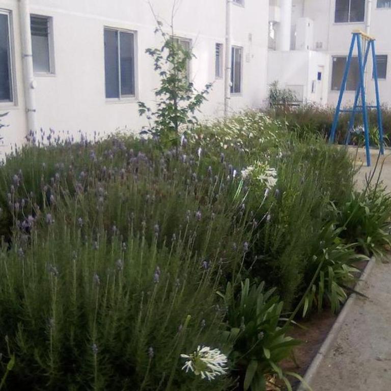 Departamento La Serena - Three-Bedroom Apartment - 16
