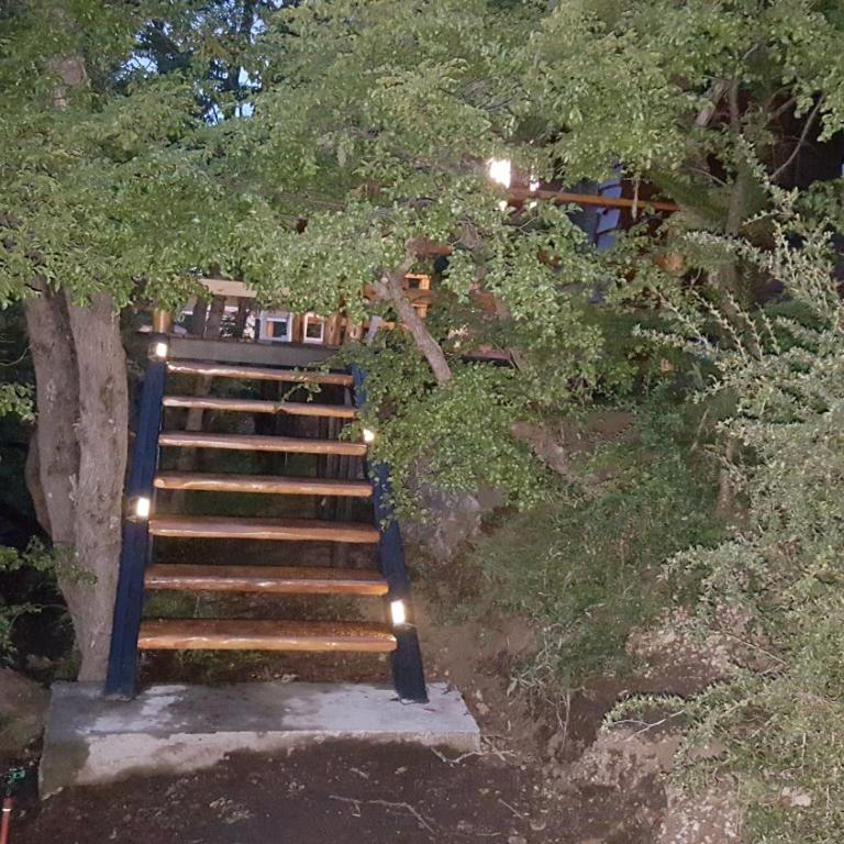 Pendientes de Moquehue - One-Bedroom Chalet - 20