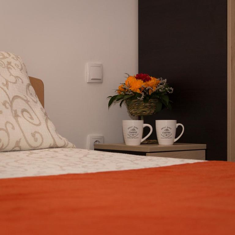 Sobe i apartmani Kety - Double Room - 12
