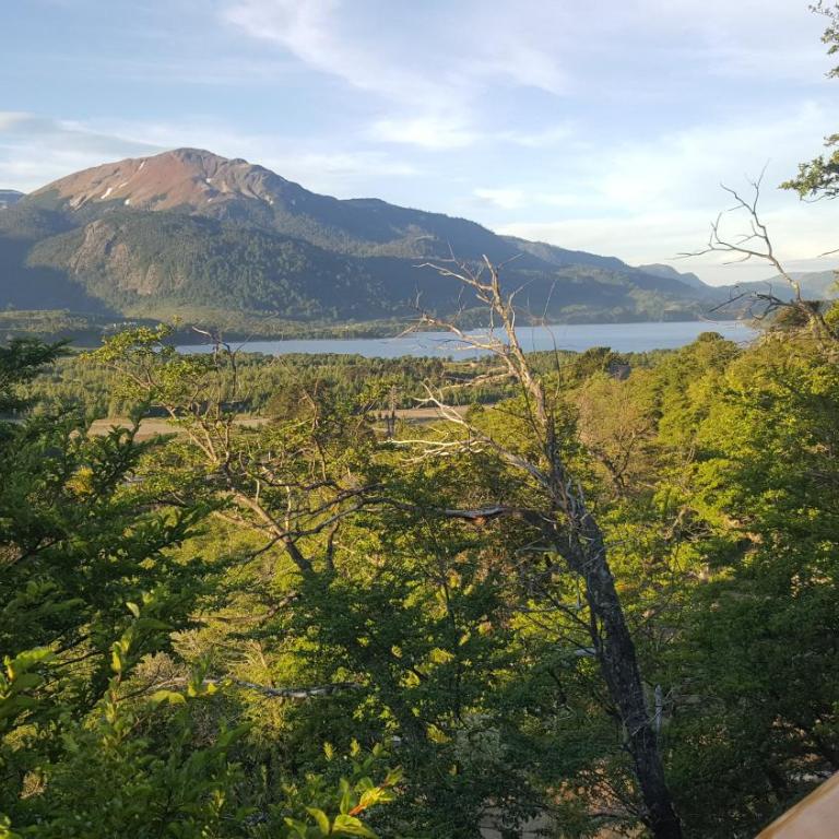 Pendientes de Moquehue - One-Bedroom Chalet - 10