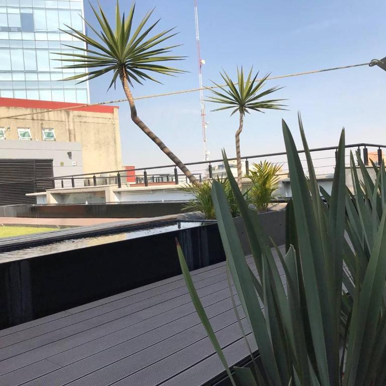 Studio Loft Polanco with POOL - Apartamento con vistas a la piscina - 29