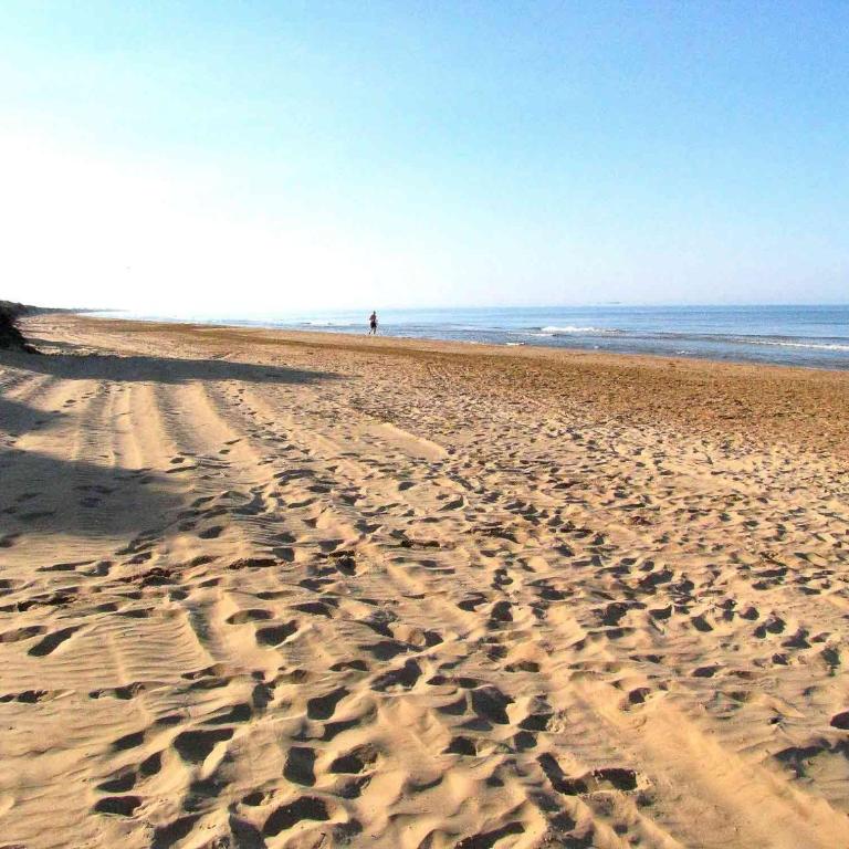 Villa Marina few mt from sand beach - One-Bedroom Apartment - 2