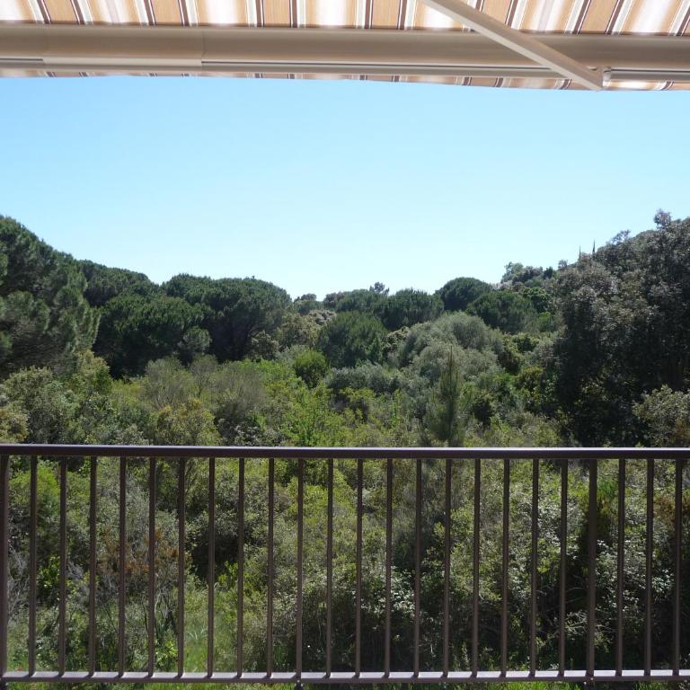 Luna verde - Appartement - 10