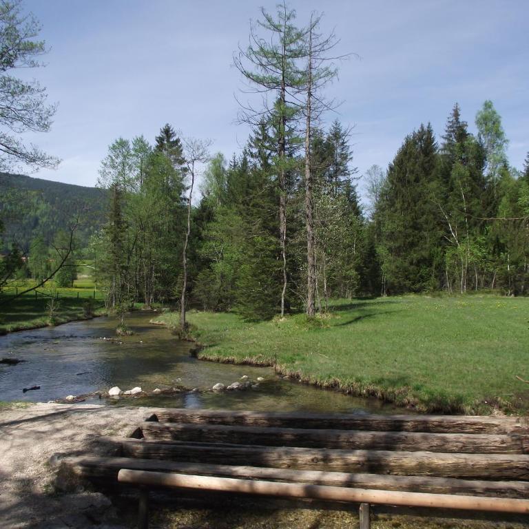 Ferienwohnung am Römerweg Wald - Apartment mit 2 Schlafzimmern - 31