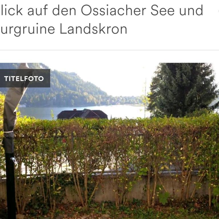 Fewo Hilde - Apartment mit 1 Schlafzimmer - 1