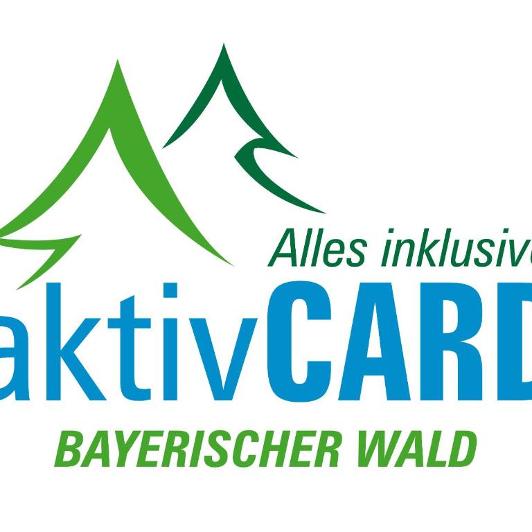 Ferienwohnung Bodenmais am Silberberg - Apartamento Dúplex - 19