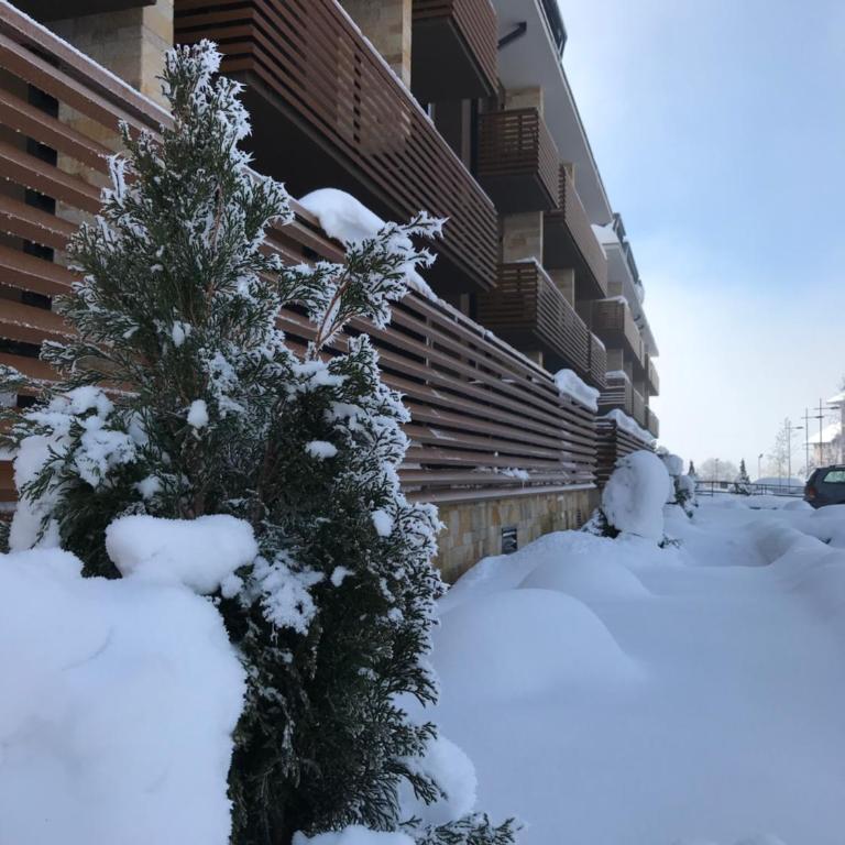 Lux Apartments Janjic - Apartman - 50