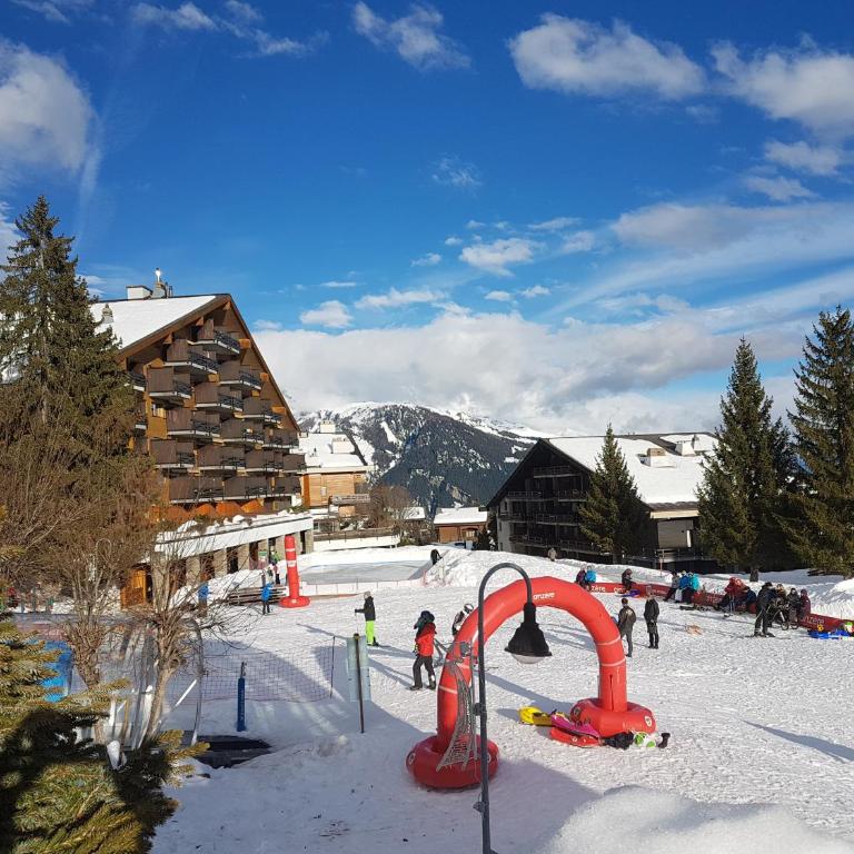 Holidays Groupes Anzère - Komplettes Chalet - 2