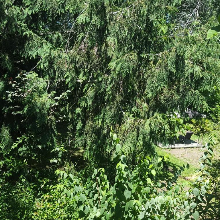 El Rincon Eco Hotel - Deluxe Family Suite - 8