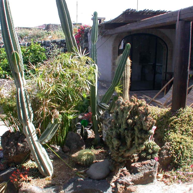 La Kuddia Dammusi - Apartamento Estudio - 5