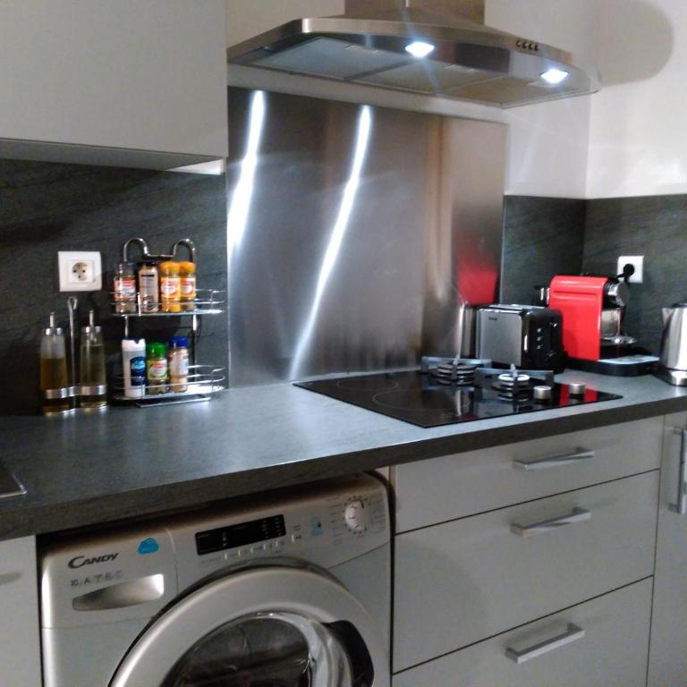 Bel et spacieux appartement de 84 m² avec parking très proche du Métro Garibaldi - Appartement - 24
