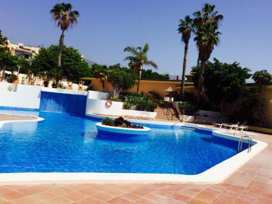 Golden Dreams & Perfect for you ***** - Apartamento - 20