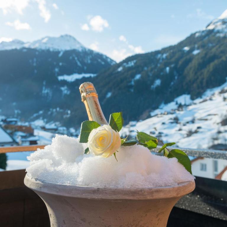 Chalet Appartement Antonhaus - Apartment mit Terrasse - 8