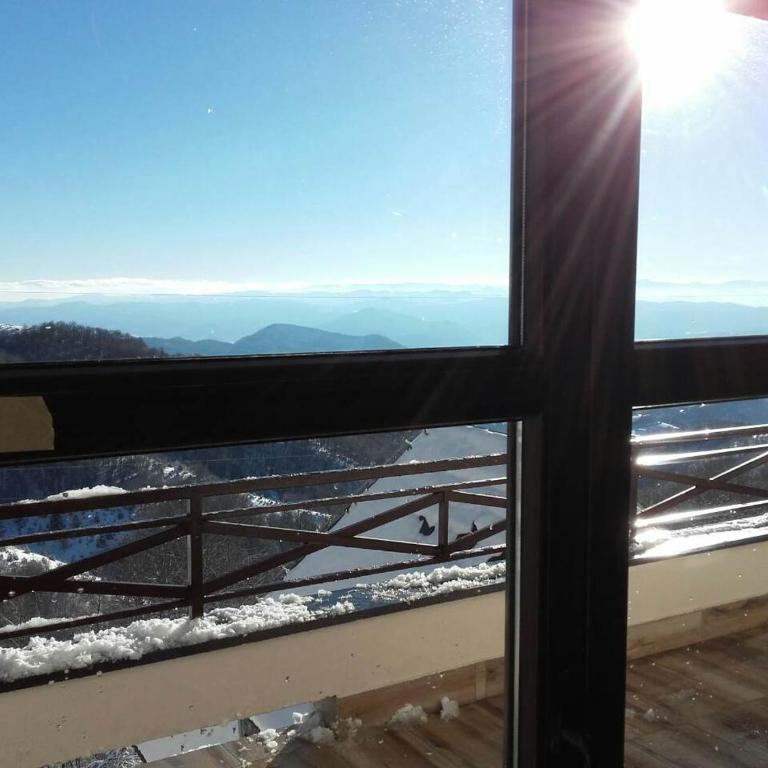Dvori Apartments 8C - One-Bedroom Apartment - 31