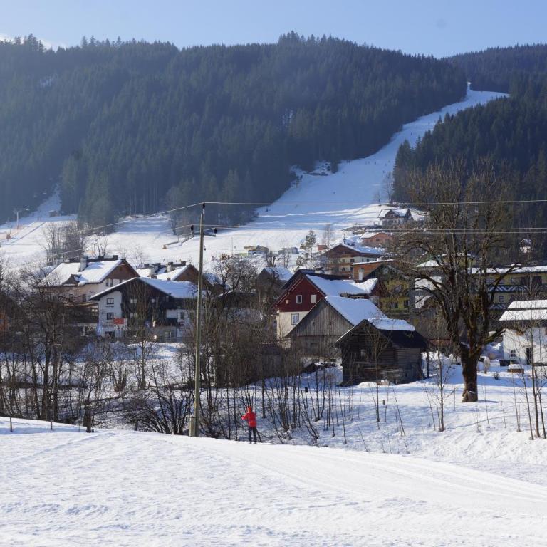 appartementen Haus Bergblick - Apartment mit Blick auf die Berge - 5