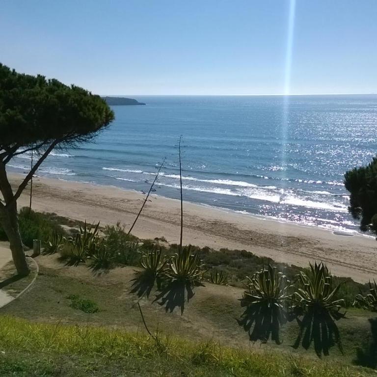 Salou Apartment, Port Aventura, beaches, pool - Apartamento - 18