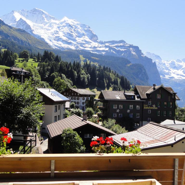 Chalet Hannegg Penthouse - Penthouse-Apartment - 43