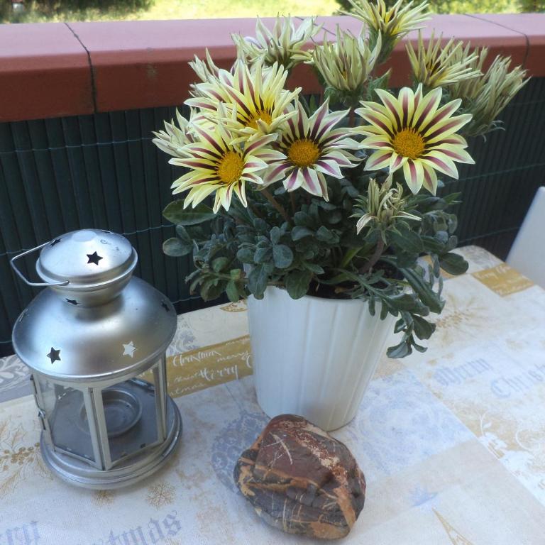 Apartment Montecatini-Terme near Firenze, Lucca, Pisa - Appartamento con 2 Camere da Letto - 12