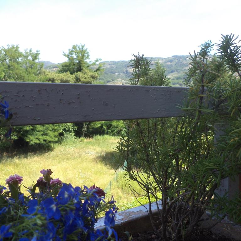 Apartment Montecatini-Terme near Firenze, Lucca, Pisa - Appartamento con 2 Camere da Letto - 18