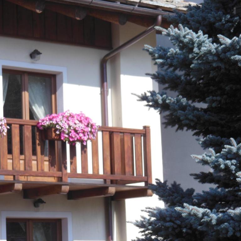 Casa Alfredo - Appartamento - 5
