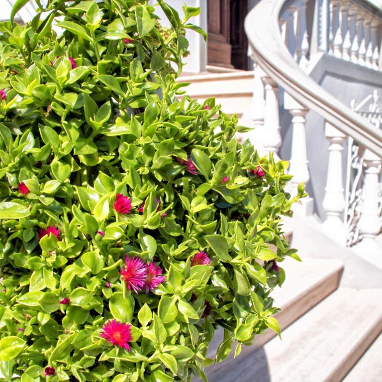 Residence Villa Piani - Monolocale - 13
