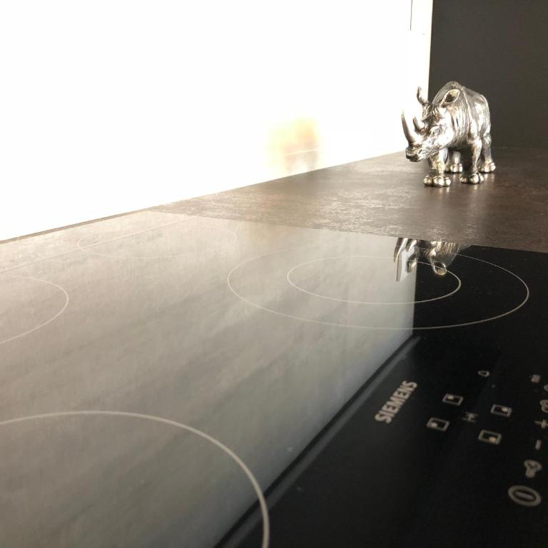 Luxury Penthouse in Central Belgrade - Penthaus Apartman - 10