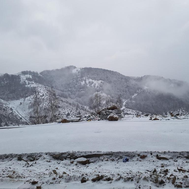 Apartment M1 MEGI, Milmari Resort - Apartment with Mountain View - 14