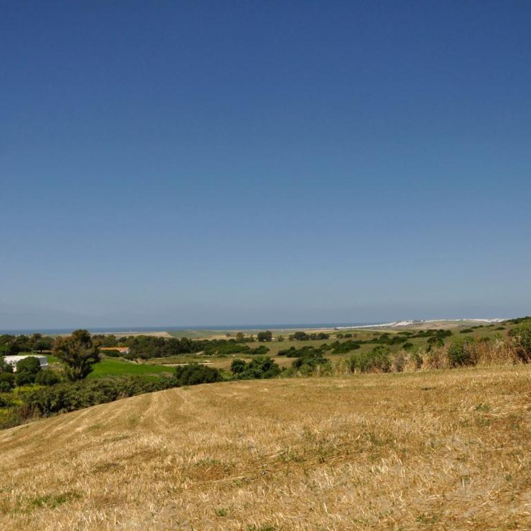 Finca Solivent Ocean View - Apartment mit Poolblick - 31