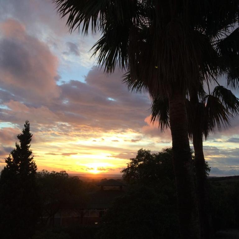 Finca Solivent Ocean View - Apartment mit Poolblick - 26
