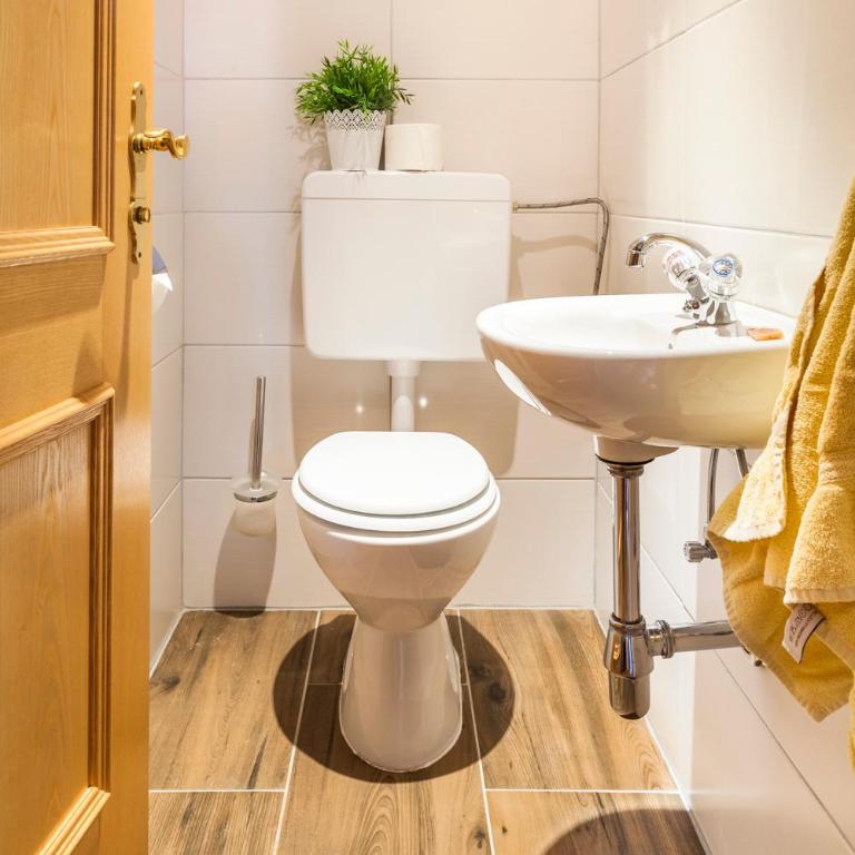 Wohlfühlbauernhof Bambichlhof - Two Bedroom-Apartment with Mountain View - 2
