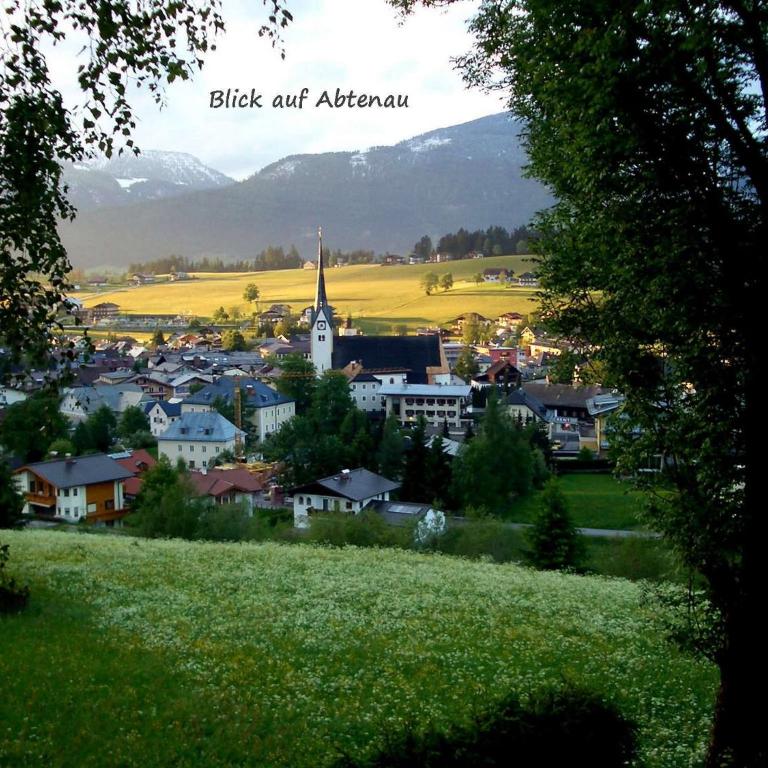 Apartment Dreier - Salzburger Land - Apartment mit 2 Schlafzimmern und Aussicht - 17