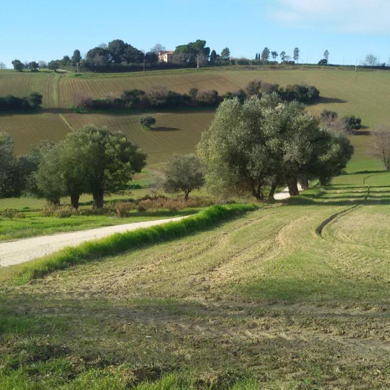 Conero mare campagna il Casale Le Maschere appartamenti - Casa con 2 Camere da Letto - 6