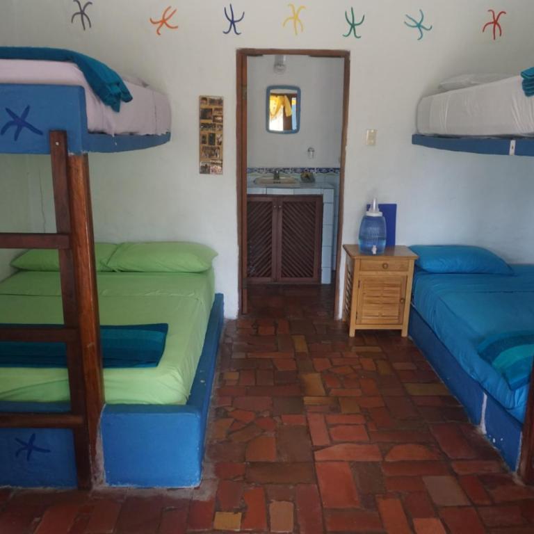 Hosteria Tsafiki - Habitación Familiar (5 adultos) - 3