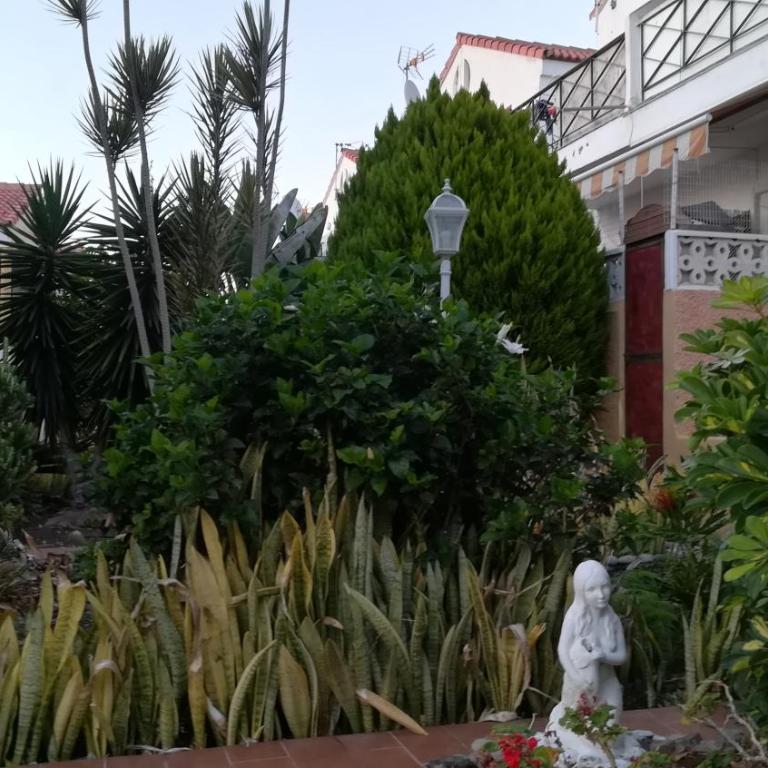 Tenerife Altamar Paradise - Apartamento - 2 niveles - 24
