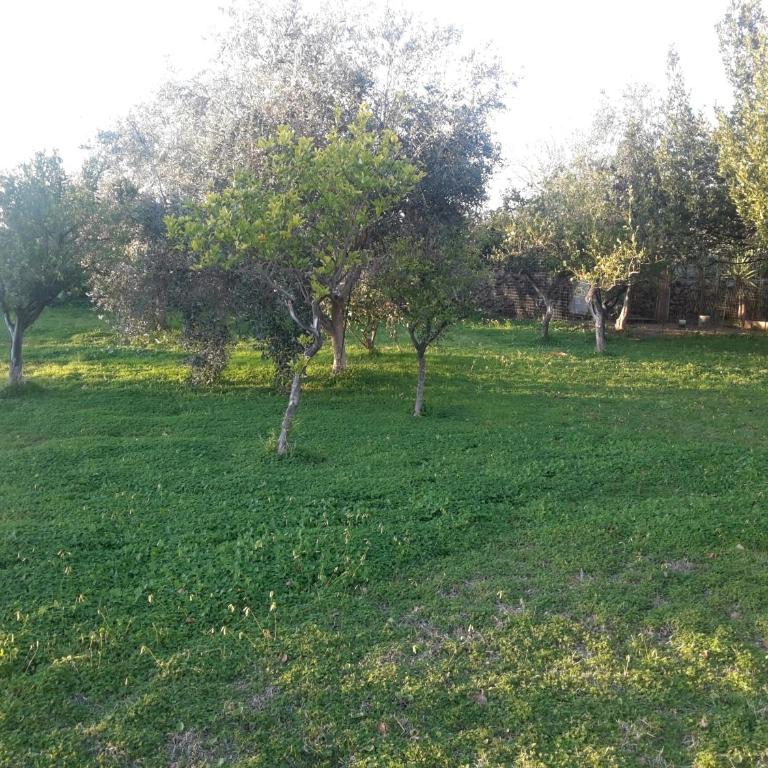 Villa Margherita - Villa - 21