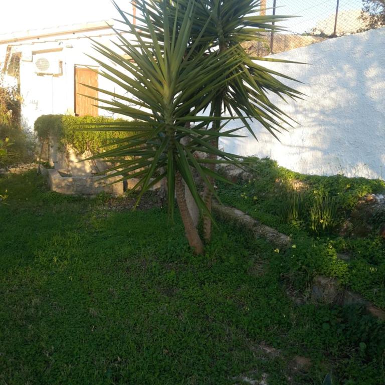 Villa Margherita - Villa - 18