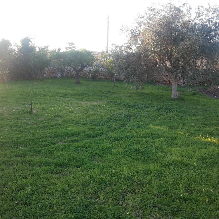 Villa Margherita - Villa - 27