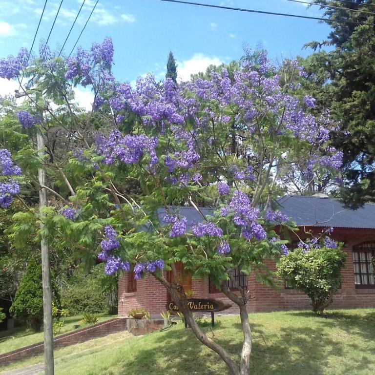 Chalet Costavaleria - Casa de 2 dormitorios - 25