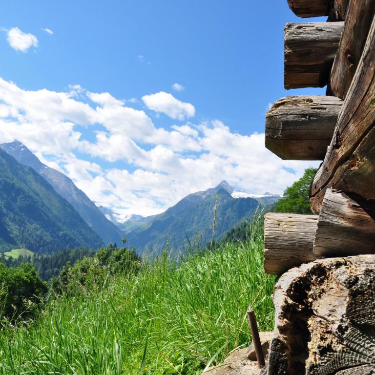 Apartments Obernosterer - Großglockner - Apartment mit Blick auf die Berge - 72