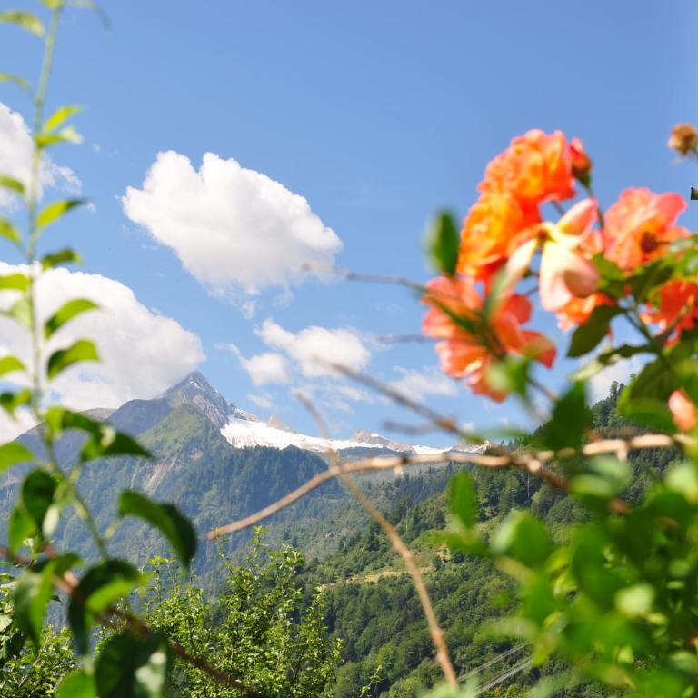 Apartments Obernosterer - Großglockner - Apartment mit Blick auf die Berge - 69