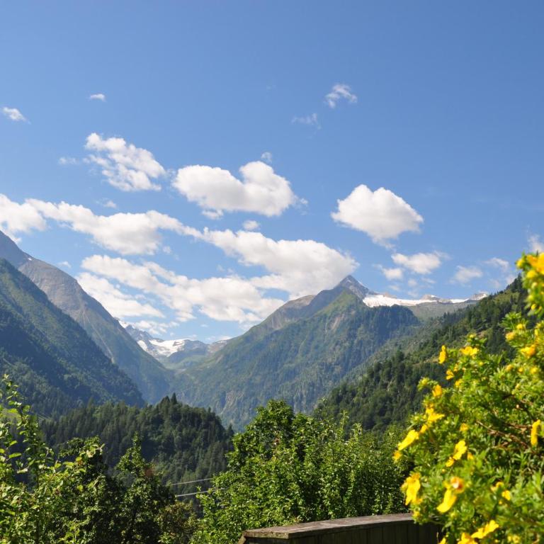 Apartments Obernosterer - Großglockner - Apartment mit Blick auf die Berge - 74