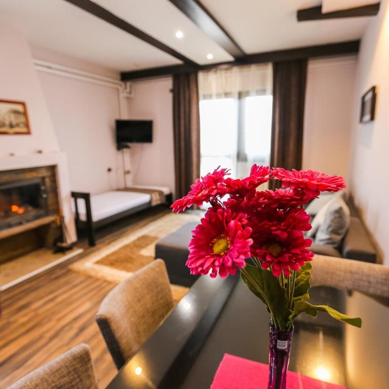 Divčibarski Vajati - Studio Apartman - 2
